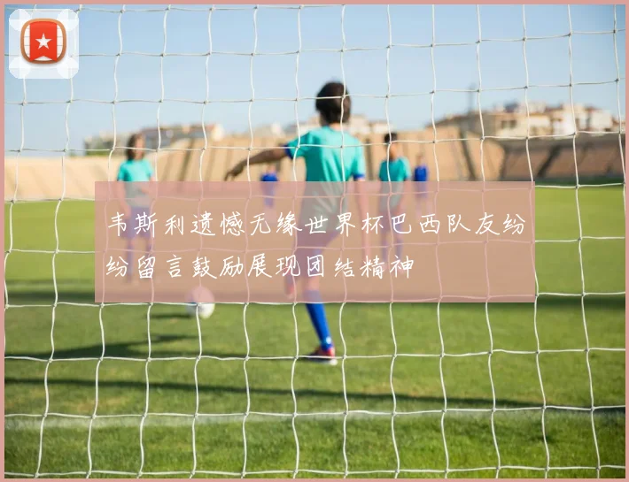韦斯利遗憾无缘世界杯巴西队友纷纷留言鼓励展现团结精神